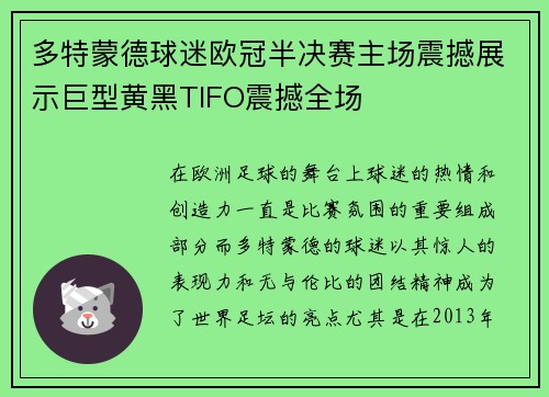 多特蒙德球迷欧冠半决赛主场震撼展示巨型黄黑TIFO震撼全场