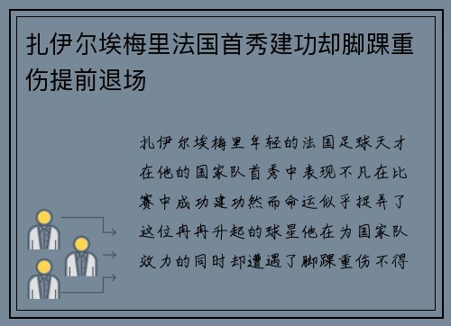 扎伊尔埃梅里法国首秀建功却脚踝重伤提前退场